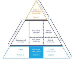 Intro to Integrated Summaries of Efficacy & Safety (ISE/ISS) | Alira Health